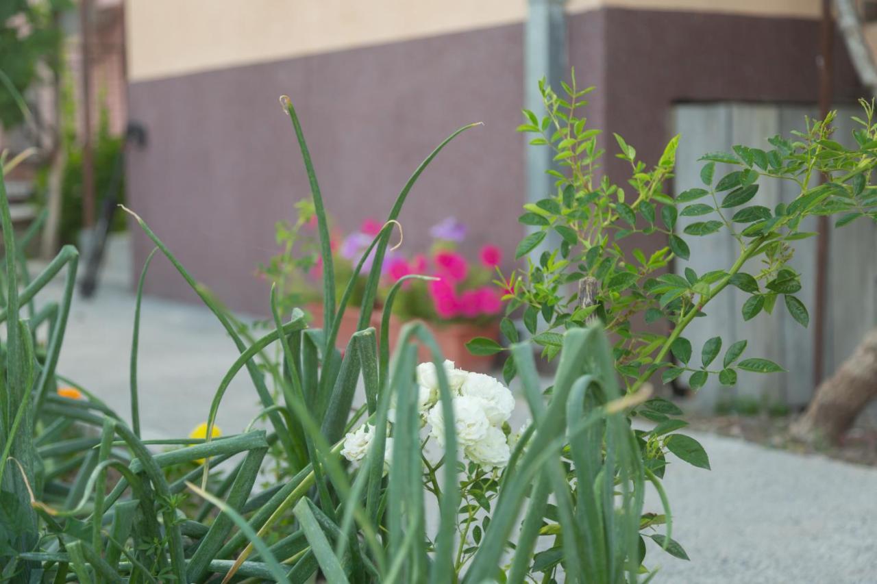 Apartment Milena Virpazar Luaran gambar